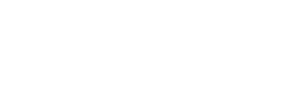 Netfone